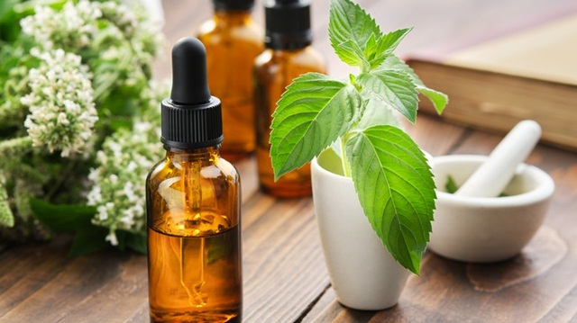 Tinh dầu bạc hà có tác dụng trị đau đầu không?