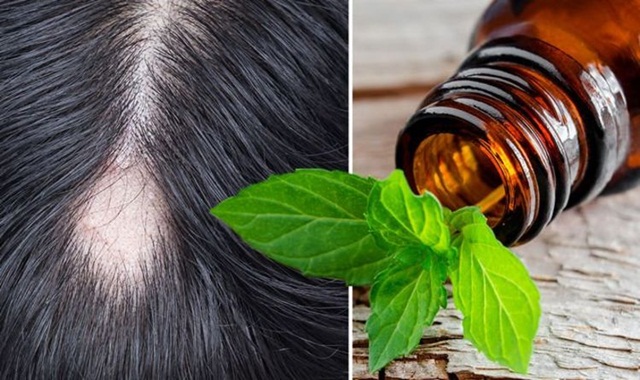 Tinh dầu bạc hà có lợi gì cho mái tóc?