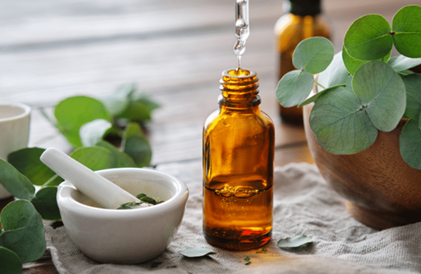 9 lợi ích của tinh dầu khuynh diệp