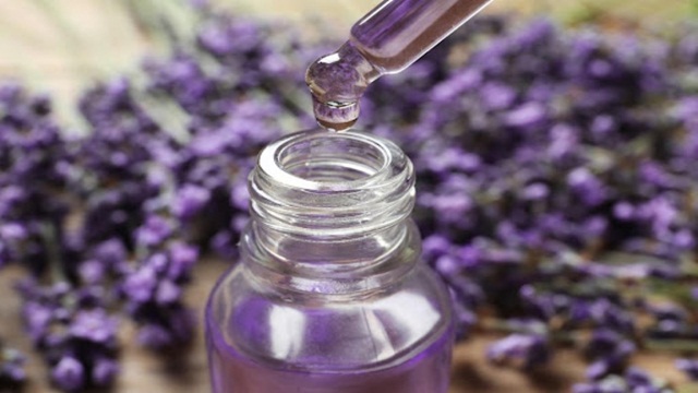 5 lý do bạn nên chăm sóc tóc bằng tinh dầu hoa oải hương
