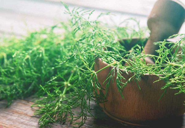 Thuốc không kê đơn và thảo dược điều trị bàng quang tăng hoạt
