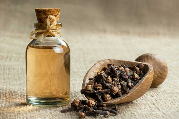 Các lợi ích của tinh dầu đinh hương (clove)