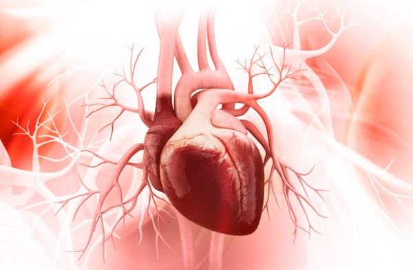 Xơ hóa cơ tim: Nguyên nhân, triệu chứng và cách điều trị
