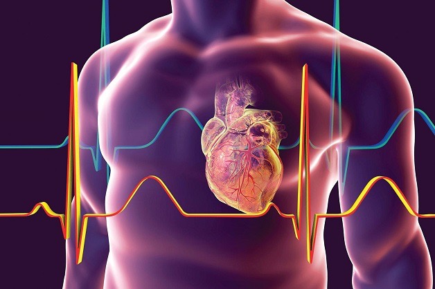 Bệnh tim được chẩn đoán như thế nào?