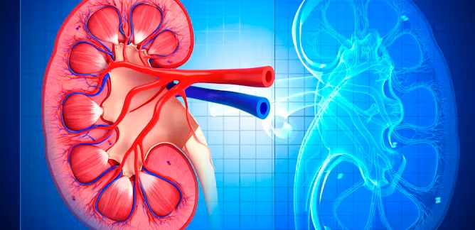 Tăng huyết áp do hẹp động mạch thận điều trị bằng cách nào?