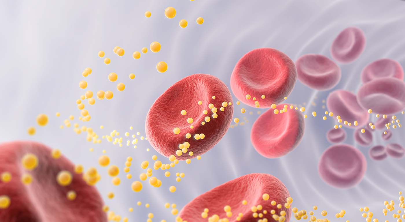 Cholesterol đến từ đâu?