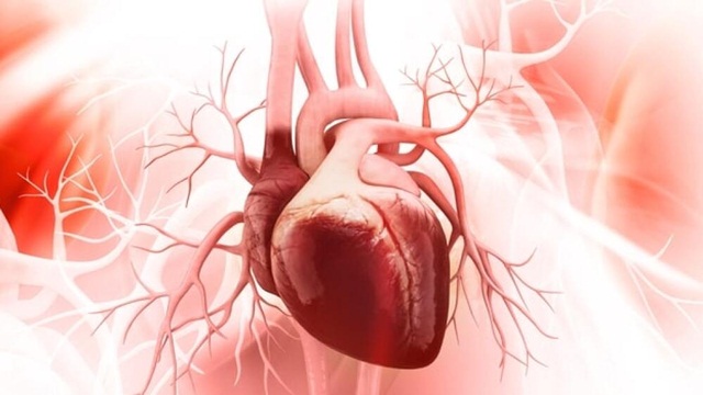 Phì đại thất trái: Nguyên nhân, triệu chứng và điều trị