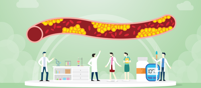 Phân biệt tăng lipid máu và tăng cholesterol máu