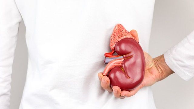 Suy thận mạn: Nguyên nhân và cách điều trị