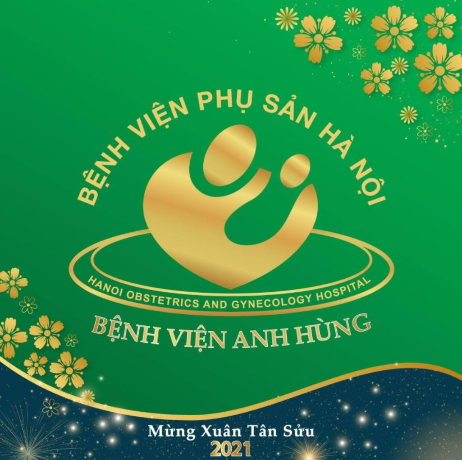 Bệnh viện phụ sản Hà Nội