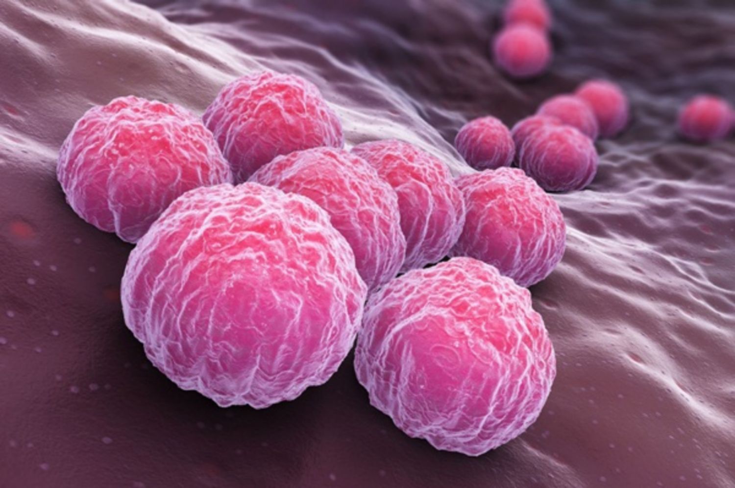 Sự khác biệt giữa chlamydia và bệnh lậu