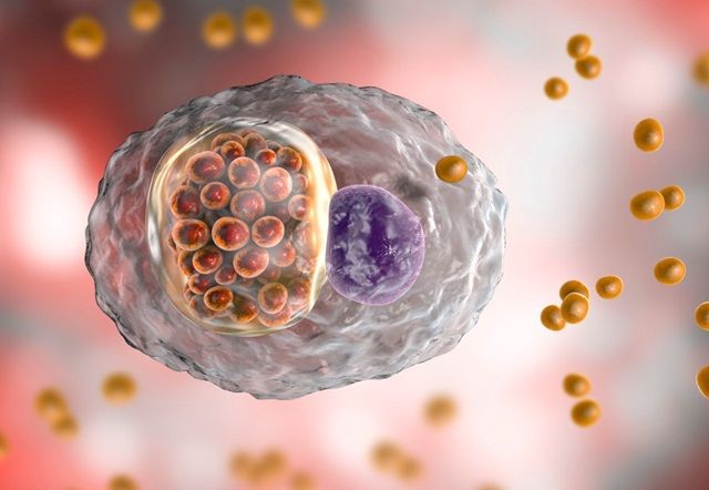 Bệnh Chlamydia là gì?