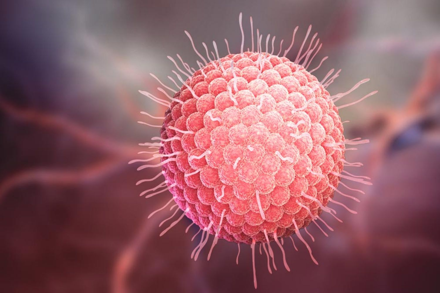 Herpes hậu môn: Triệu chứng, điều trị và cách phòng ngừa