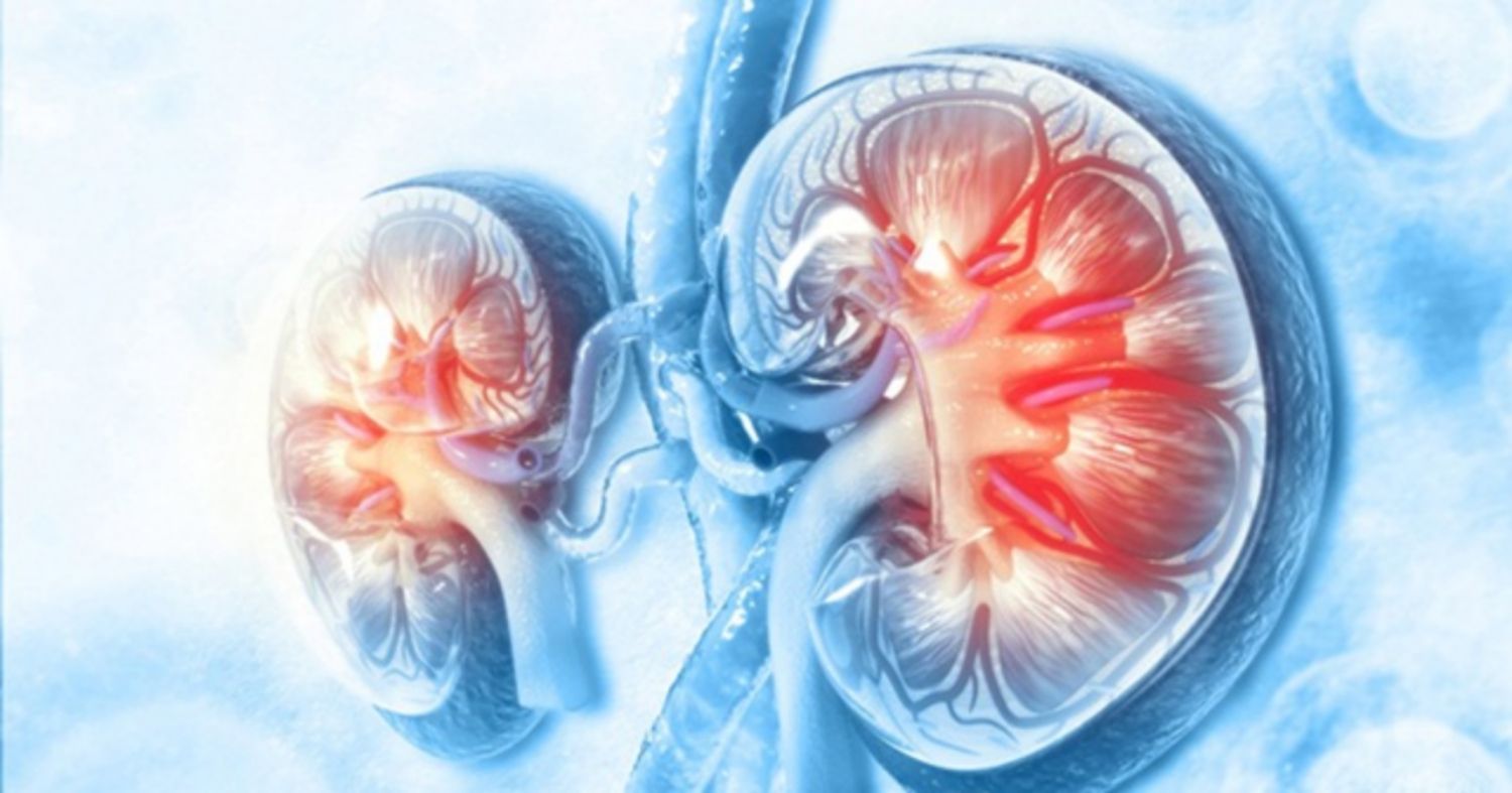 HIV ảnh hưởng đến thận như thế nào?