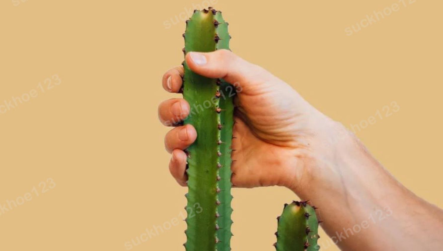 Kích Thước Dương Vật Có Di Truyền Không?