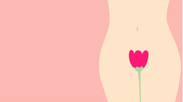Âm đạo: Cấu tạo, chức năng và các bệnh lý thường gặp