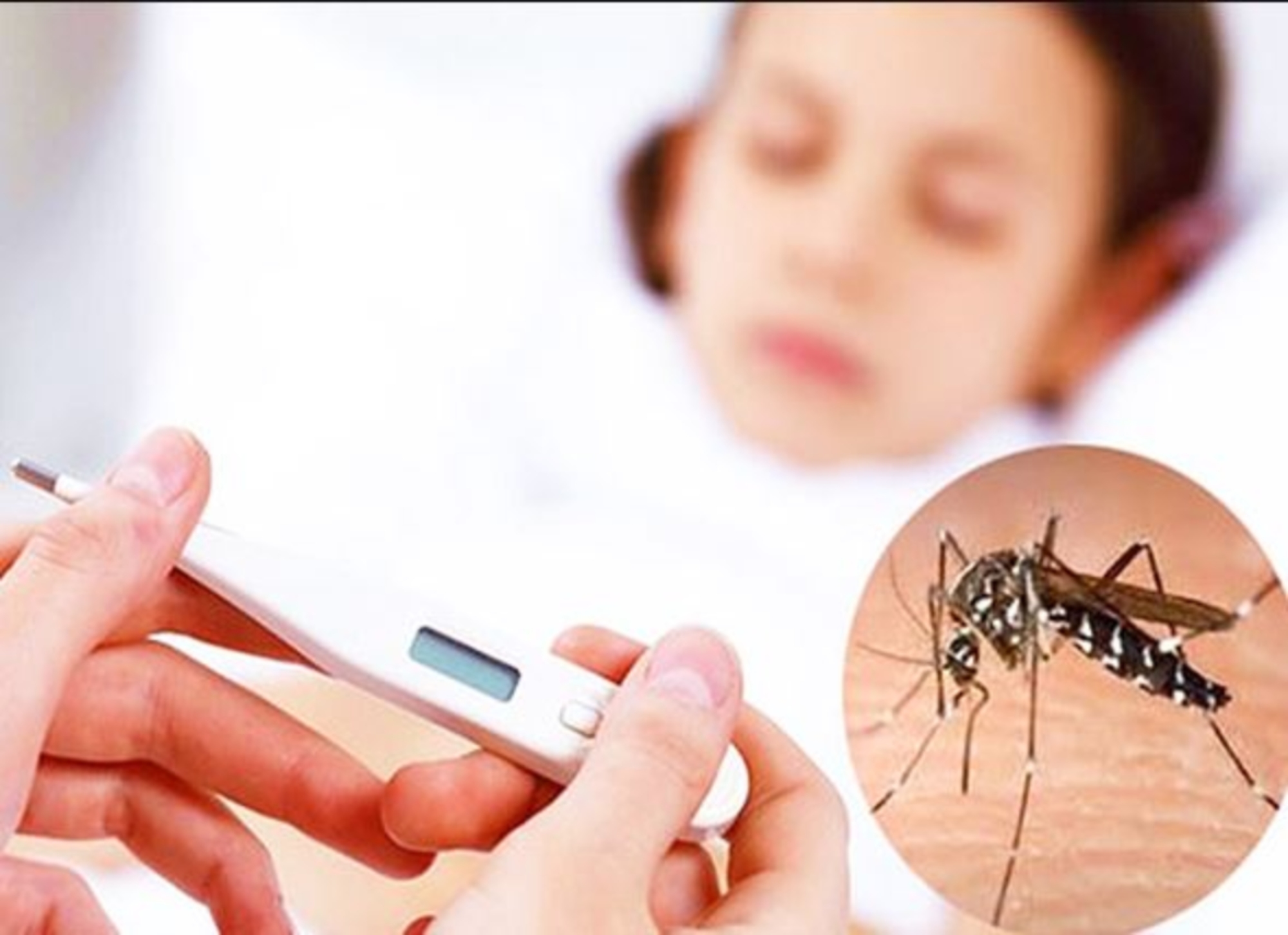 Mắc sốt xuất huyết rồi thì có mắc lại không?