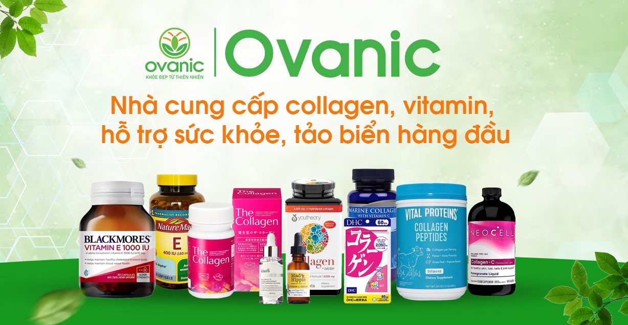 Đánh Giá Về Collagen Nước, Viên, Bột – Nên Chọn Loại Nào Hiệu Quả Nhất