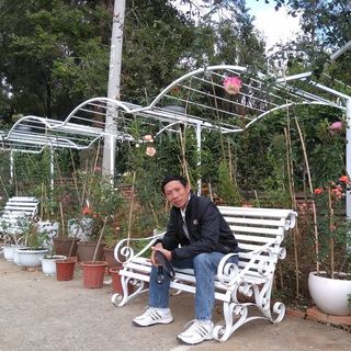 Trị Trương
