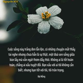 Vy Tường